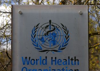 OMS alerta para aumento de casos de cólera no mundo
