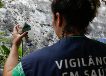 Saúde abre consulta pública sobre inclusão de vacina da dengue no SUS