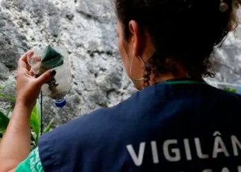 Espírito Santo registra maior número de casos de dengue do Brasil