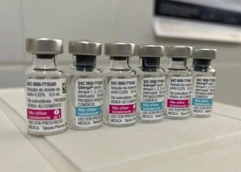 Primeiras doses da vacina contra dengue chegam ao Brasil
