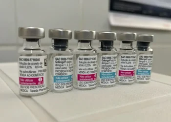 Paraná vê doses insuficientes e pede mais vacinas contra a dengue