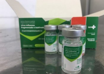 Pouco mais de 1,5 milhão de capixabas participam da vacinação contra gripe