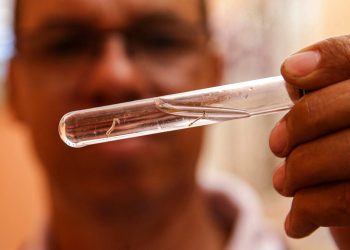 Morador de Linhares de 34 anos é a 11ª morte por dengue do ES