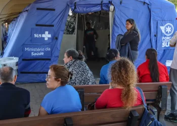 Rio Grande do Sul quer evitar que doenças se alastrem após enchentes