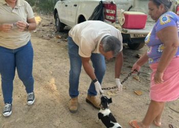 BSF: campanha antirrábica nos distritos alcança mais 600 cães e gatos vacinados