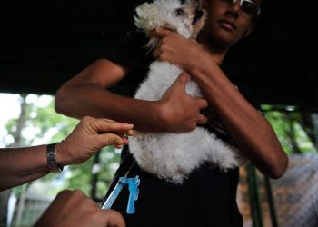Vacinação antirrábica começa a ser aplicada em cães e gatos na Serra