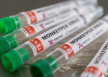 Casos de mpox se aproximam de 100 mil em todo o mundo, alerta OMS