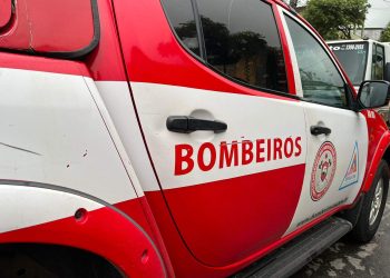 Pai tenta salvar filho e os dois morrem afogados em lagoa de Linhares