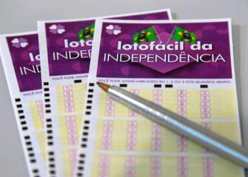 Lotofácil da Independência: saiba quais os números mais sorteados e veja como apostar