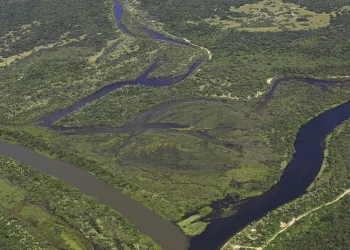 Maior parte da Mata Atlântica tem menos de 30% de vegetação nativa