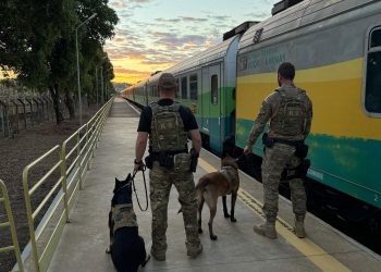 Casal é preso ao desembarcar de trem em Cariacica com arma e drogas