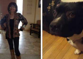 Idosa de 73 anos morre após ataque de pitbull e marido fica ferido