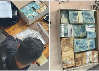 Imigração ilegal: grupo suspeito de levar adultos e menores, de Minas para os EUA, é alvo da PF