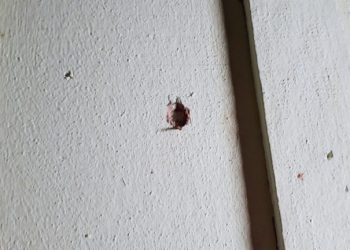 Casa é alvo de tiros após proprietária abrigar adolescente que sobreviveu a tentativa de homicídio em Colatina