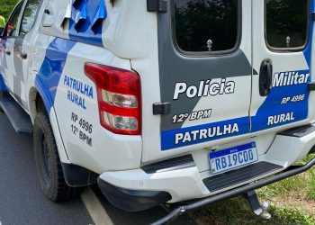 Homem surta, faz manobras perigosas em veículo, colide com viatura, e é preso em Linhares.