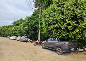 Vereador Welder Carminati pede poda de árvores na rua do antigo Rotary Clube, em Rio Bananal