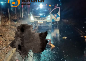Falta de acostamento tira mais uma vida na Rodovia Roberto Calmon, em Rio Bananal