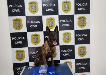 PCES e Correios apreendem 10 quilos de maconha enviados por encomenda em Cachoeiro de Itapemirim