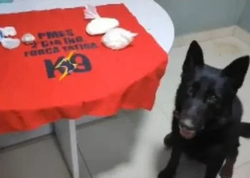 PM apreende quase meio quilo de cocaína em Afonso Cláudio