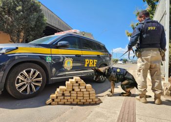 PRF apreende 52 kg de pasta base de cocaína na BR-259 em Baixo Guandu